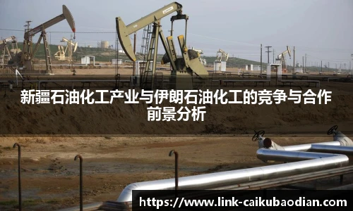 新疆石油化工产业与伊朗石油化工的竞争与合作前景分析